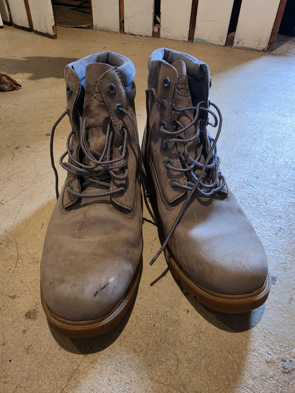 Men's Timbwrland Work Boots in Light Gray with Brown Sole